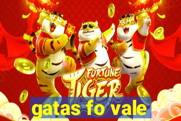 gatas fo vale